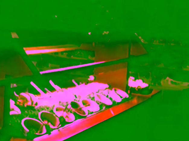 David Wheeler Concord Footage