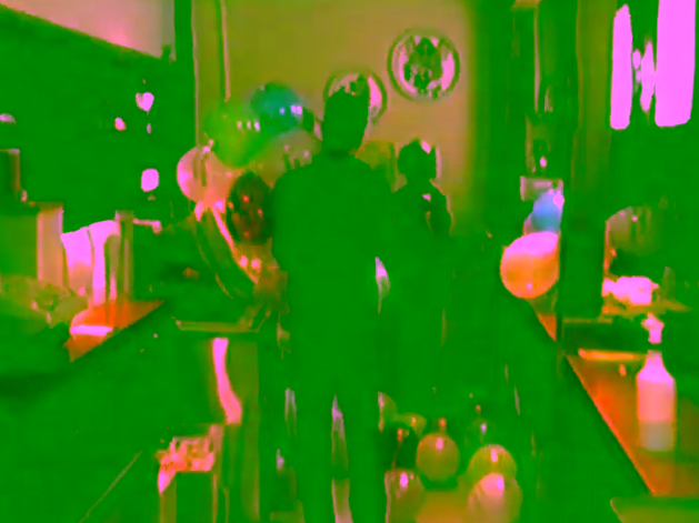 David Wheeler Concord Footage