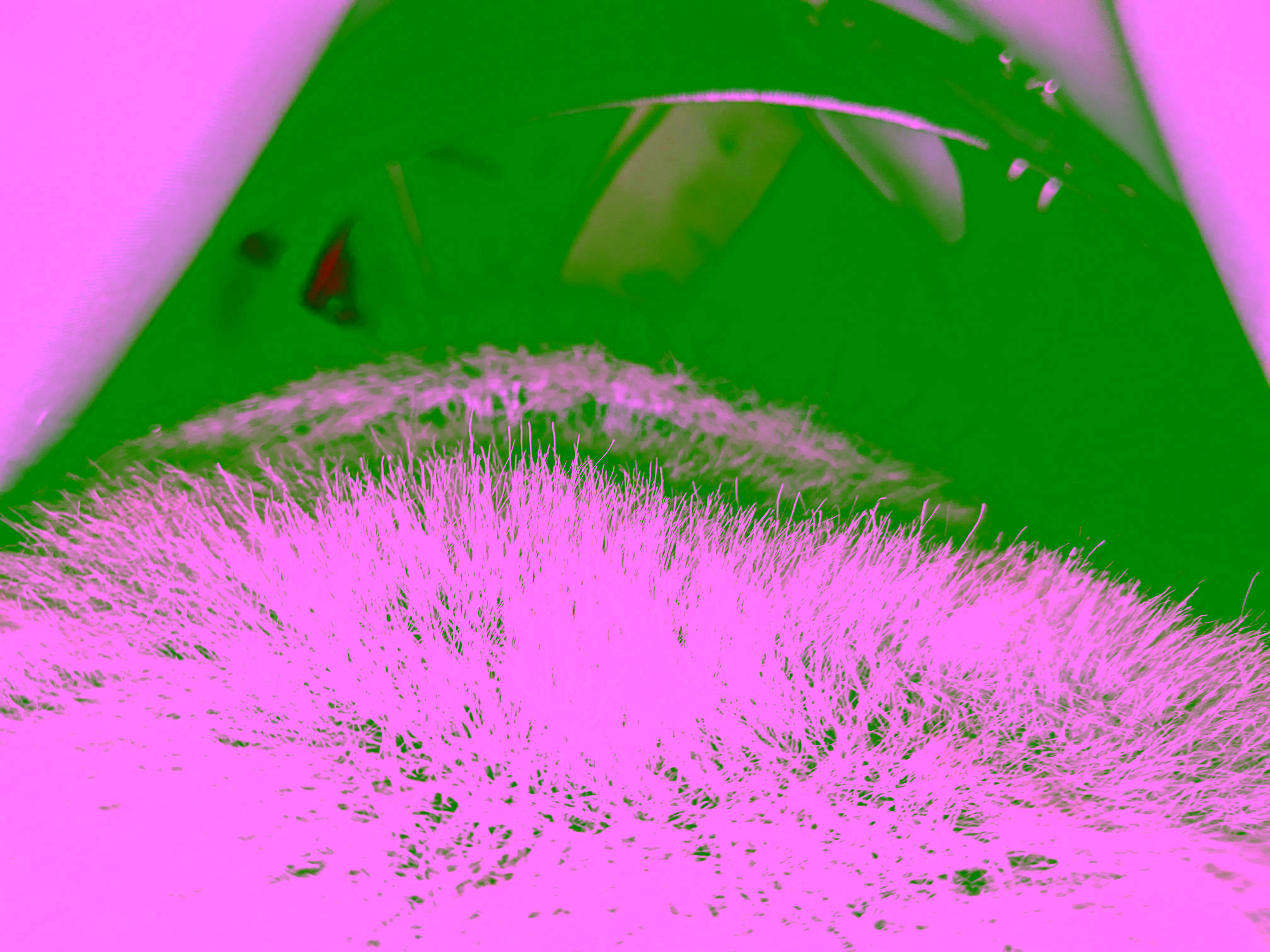 Huntington Beach photo.
