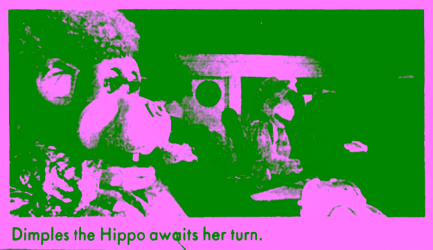 Citrus Heights Auction