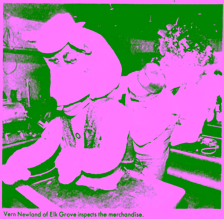 Citrus Heights Auction