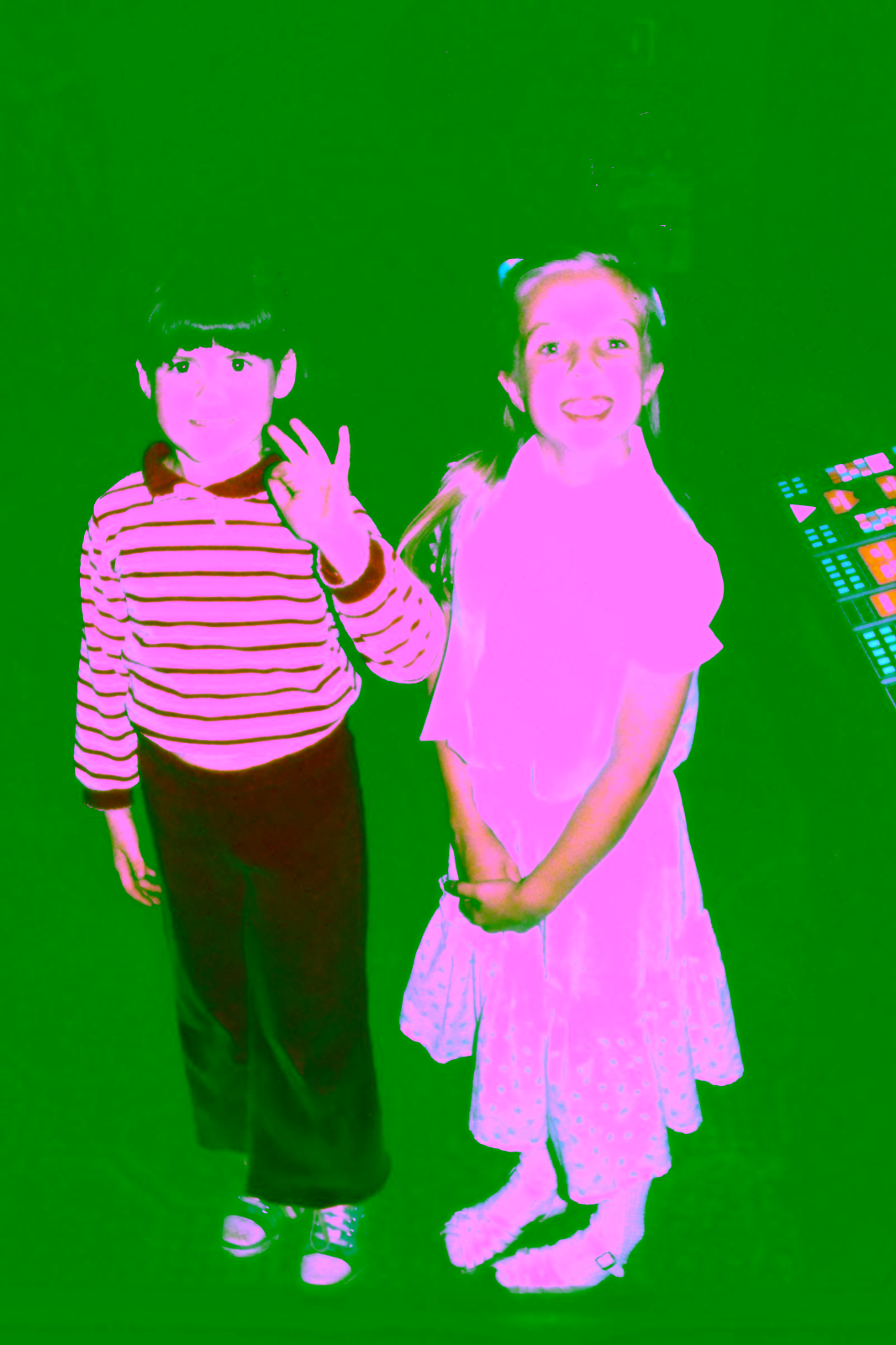 Birthday Party at Citrus Heights