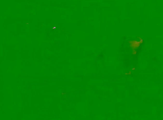 David Wheeler Concord Footage